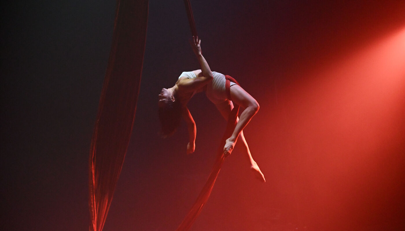 Creative aerial workshop with Diana Salles - Performing Arts Events - StageLync
