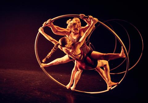 HYENA the debut show by Alula Cyr - Performing Arts Events - StageLync