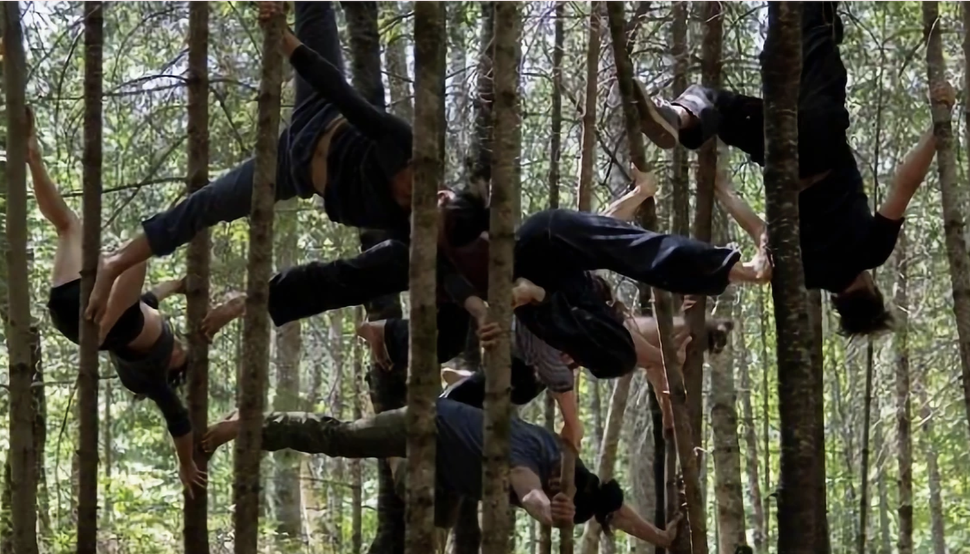 Focus on Climate Change: Circus artists acting for planet earth. - Performing Arts Events - StageLync