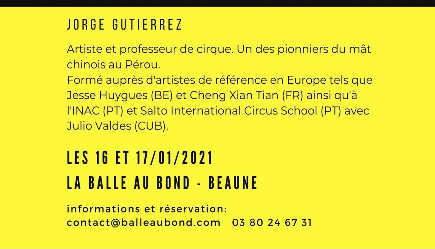 Stage Mât Chinois avec Jorge Gutierrez - Circus Events - CircusTalk