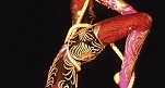 Off the Shelf Festival: Aerialist - Rebecca Truman - Performing Arts Events - StageLync
