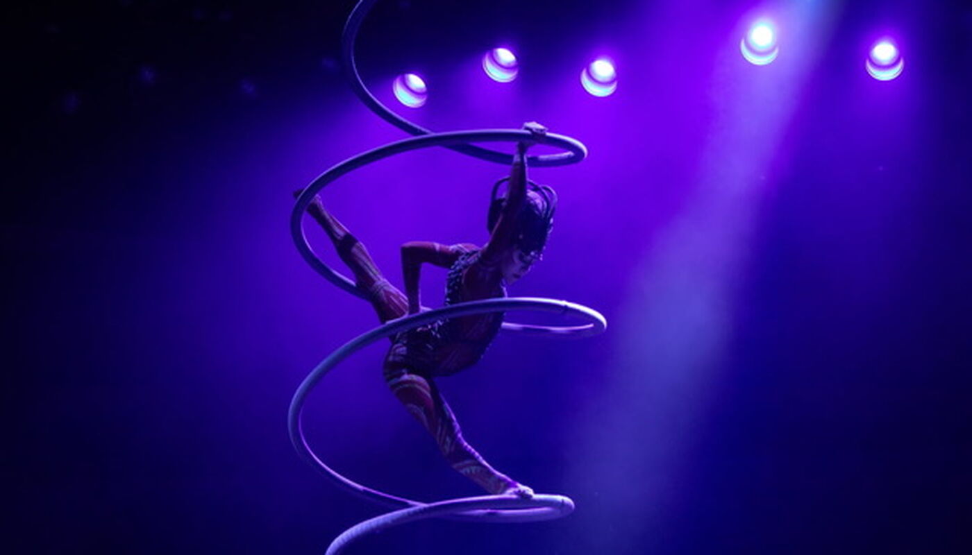 The Performer Project