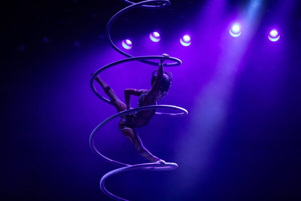 The Performer Project