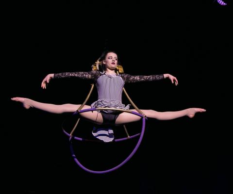 Circus Cabaret Lates, Chapelfield Summer Circus - Circus Events - CircusTalk