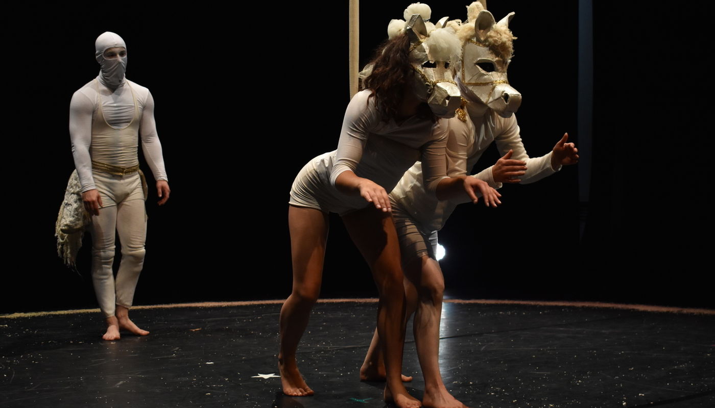 MA in Directing Circus at Circomedia - Performing Arts Events - StageLync