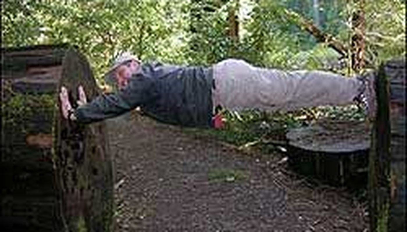 Spine, Abs, Core and More - Performing Arts Events - StageLync