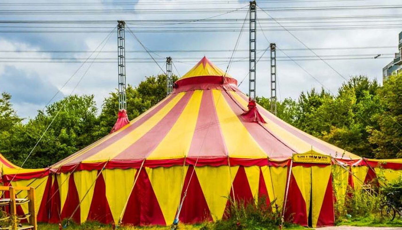 Zirkuspädagogische Weiterbildung Hamburg - Performing Arts Events - StageLync
