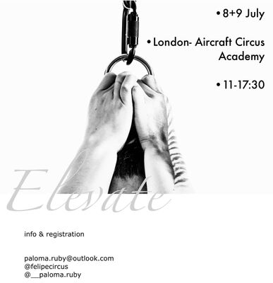 Elevate - Hair Suspension workshop
