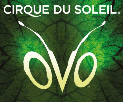 Cirque du Soleil OVO - Performing Arts Events - StageLync