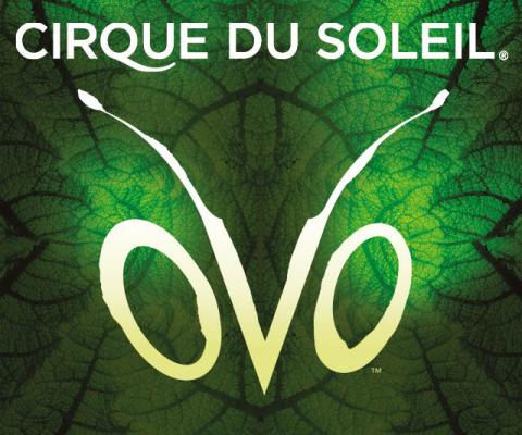 Cirque du Soleil OVO - Circus Events - CircusTalk