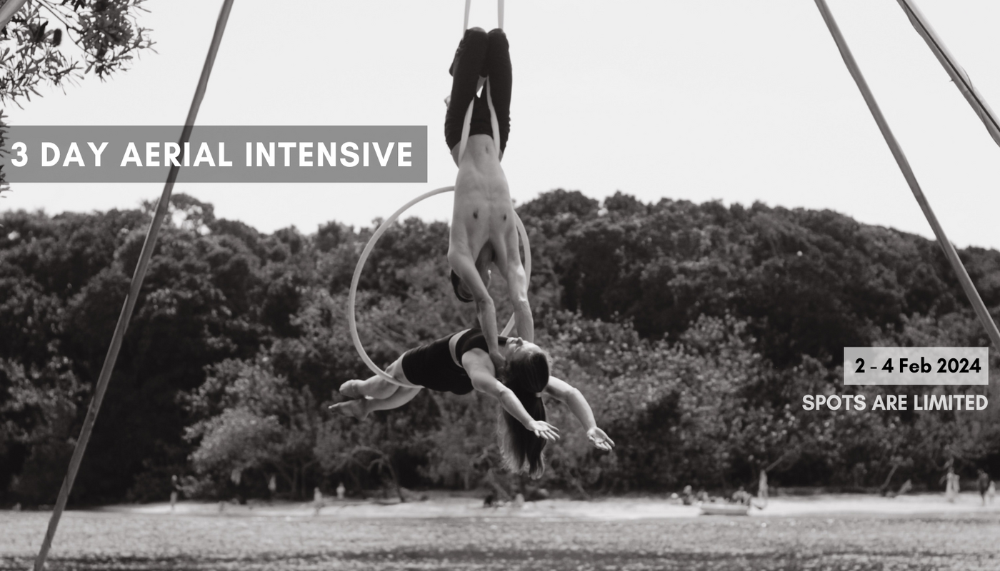 Aerial Intensive 3-Day Workshop - Performing Arts Events - StageLync