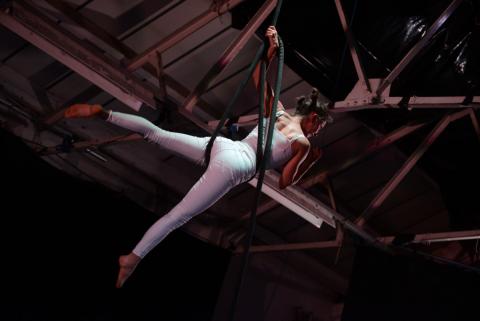 Grand Opening! Circus: Performers, Politics &amp; Pop Culture - Performing Arts Events - StageLync