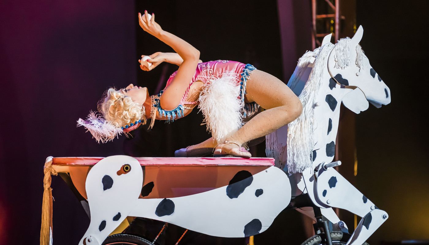 42FT – A MENAGERIE OF MECHANICAL MARVELS - Performing Arts Events - StageLync