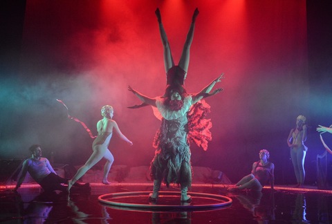 Metta’s Little Mermaid, the Circus Sensation - Performing Arts Events - StageLync