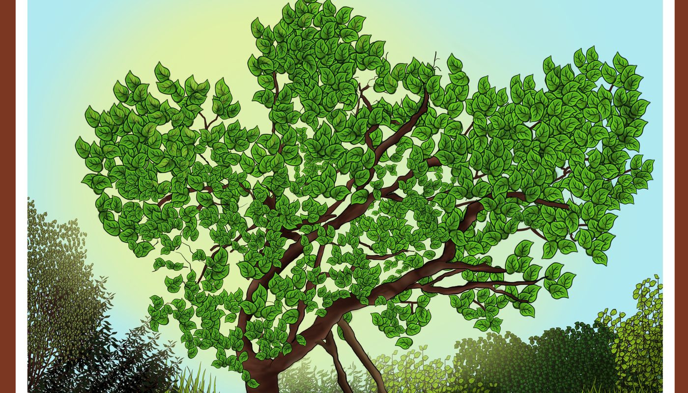 Mulberry Tree Rhyme Time for Early Years - Performing Arts Events - StageLync
