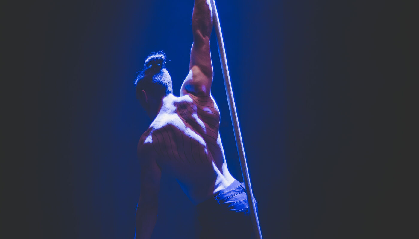 NECCA Alumni Showcase - Performing Arts Events - StageLync