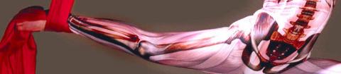'Anatomy of the Air': A Bodyworks Intensive  - Performing Arts Events - StageLync