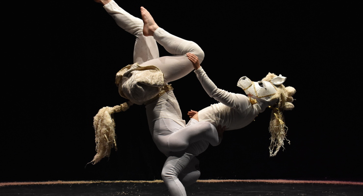 Scholarship - Masters course in Directing Circus at Circomedia - Performing Arts Events - StageLync