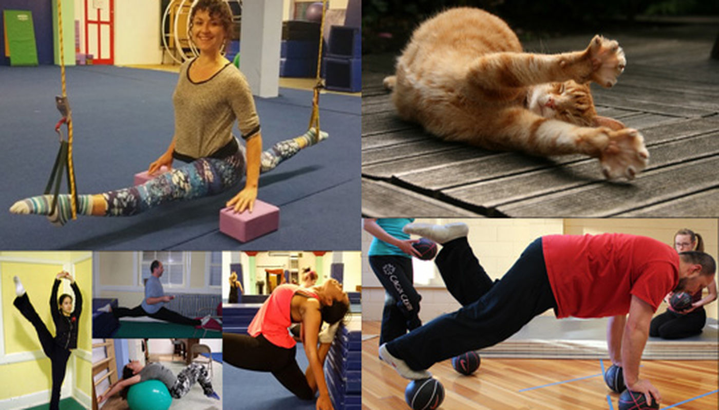 4 Part Training Series - Performing Arts Events - StageLync