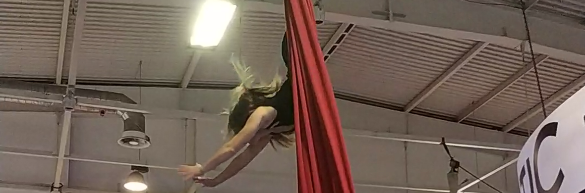 Silks - Circus Acts - CircusTalk