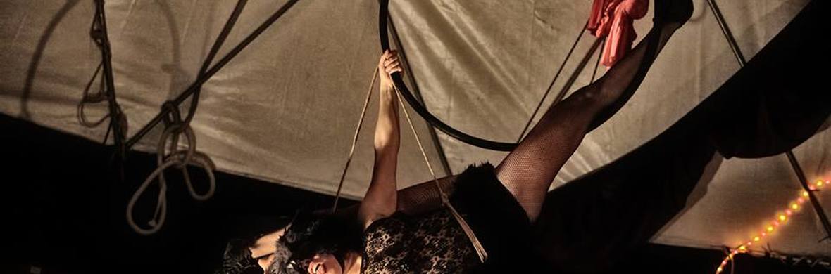 Lady Fox - Performing Arts Acts - StageLync