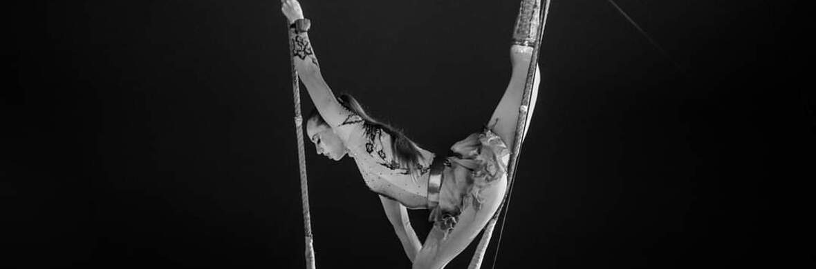 Swinging Trapeze - Tango - Performing Arts Acts - StageLync