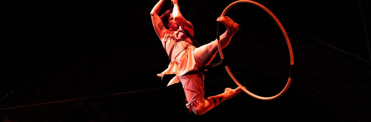 Cosmosis - Performing Arts Acts - StageLync