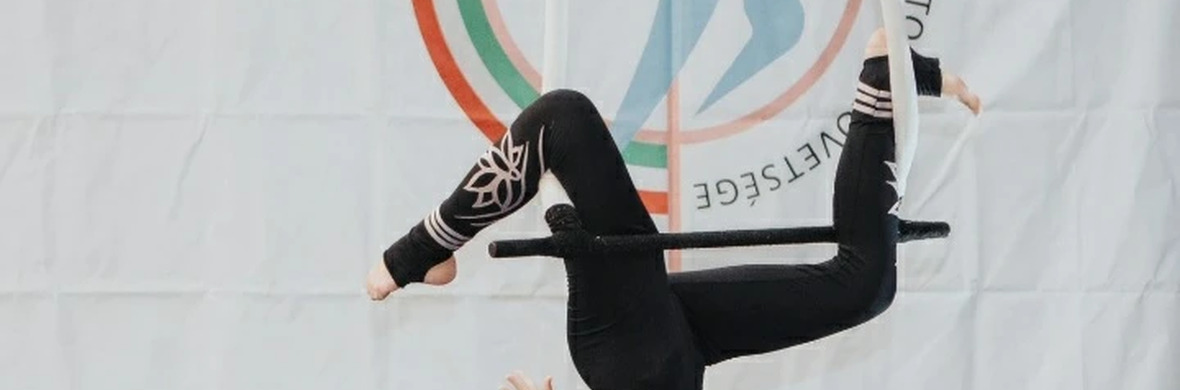 Dance Trapeze - Performing Arts Acts - StageLync