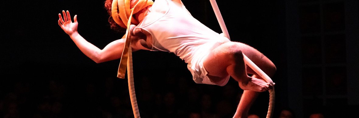 Aerial Rope - Performing Arts Acts - StageLync