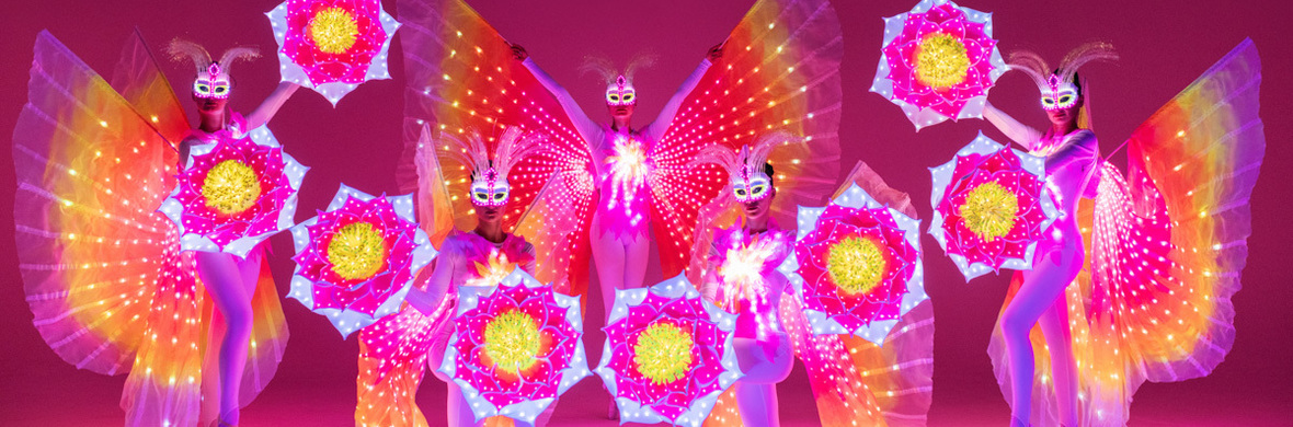 Light & Dance show "Butterflies of Paradise" - Performing Arts Acts - StageLync