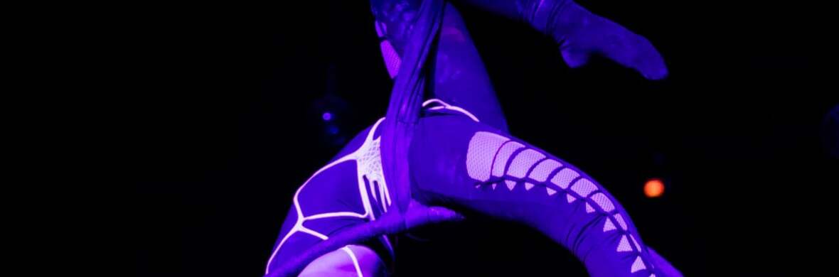 Aerial Hoop Solo - Performing Arts Acts - StageLync