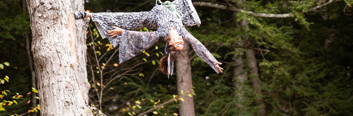 Circus in Place - Performing Arts Shows - StageLync