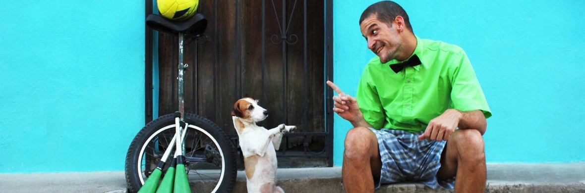 Nachos con Queso and Mancha Acrobat Dog Street - Show - Performing Arts Shows - StageLync