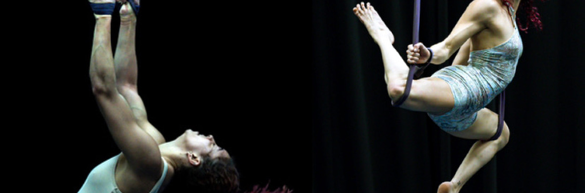 El payande  - Performing Arts Acts - StageLync