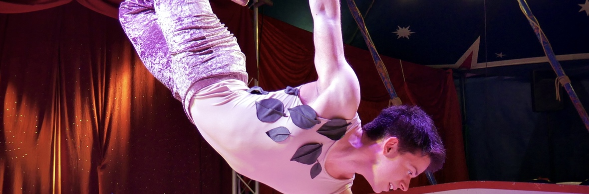 Daydream - Performing Arts Acts - StageLync