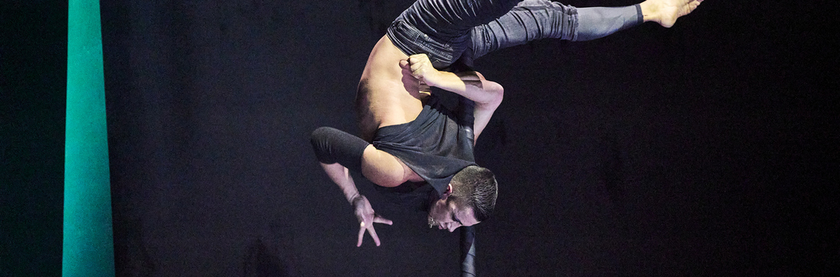 The Targaryen  Flying Pole Act  - Performing Arts Shows - StageLync