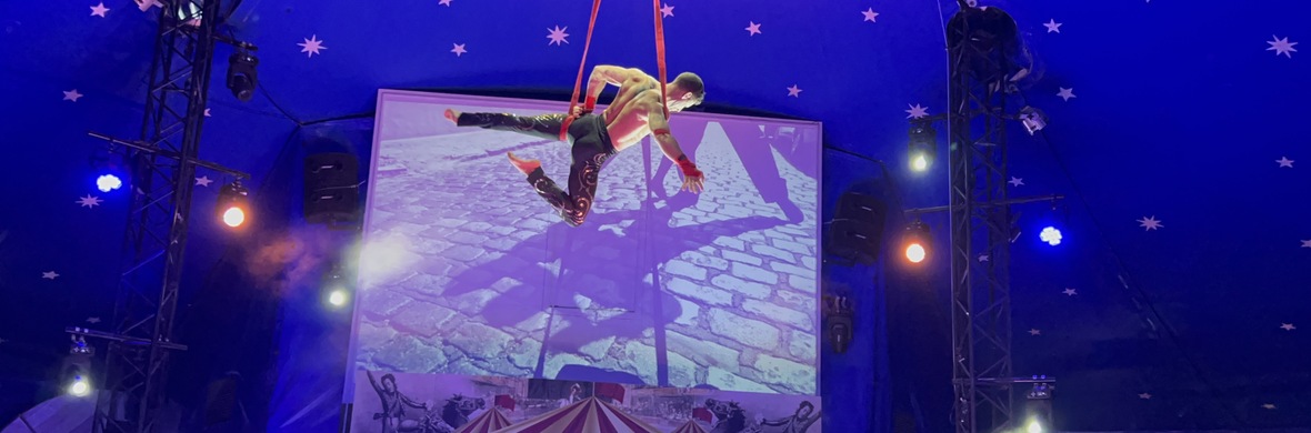 Aerial Straps act - Performing Arts Acts - StageLync