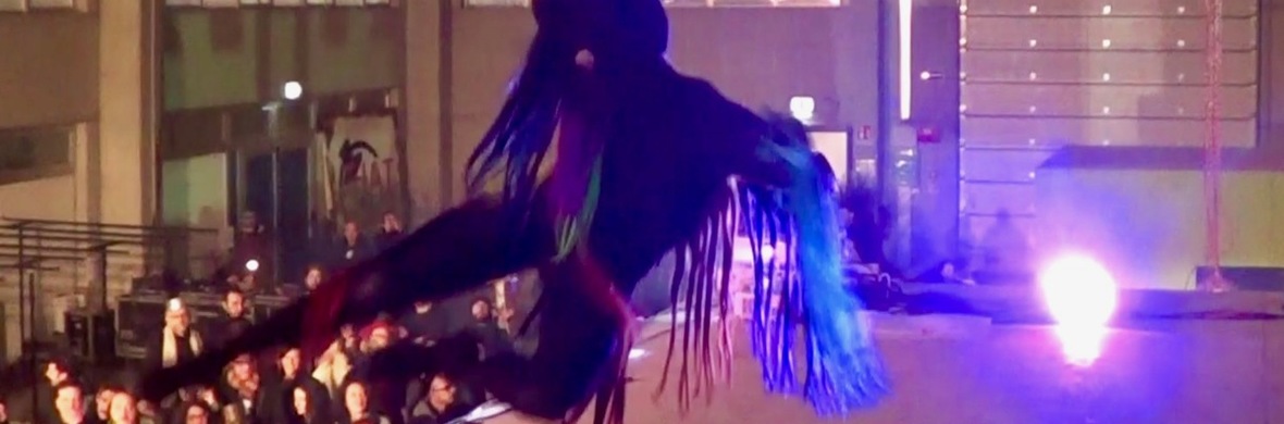 CryptoFly - Performing Arts Acts - StageLync