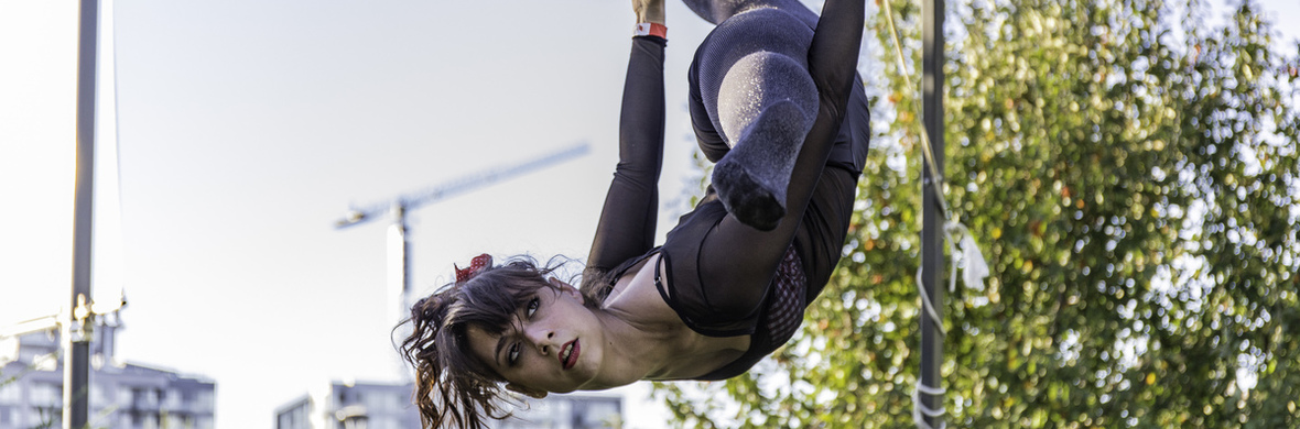 Priscilla Dance Trapeze - Performing Arts Acts - StageLync