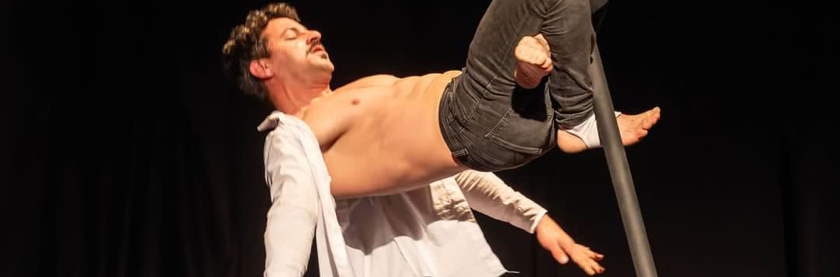 aerial pole act - Performing Arts Acts - StageLync
