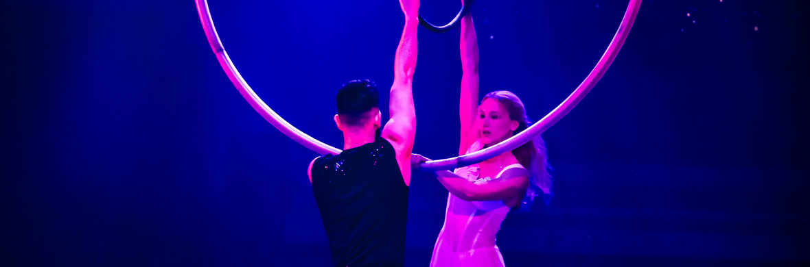 Aerial hoop and cyr wheel  - Performing Arts Acts - StageLync
