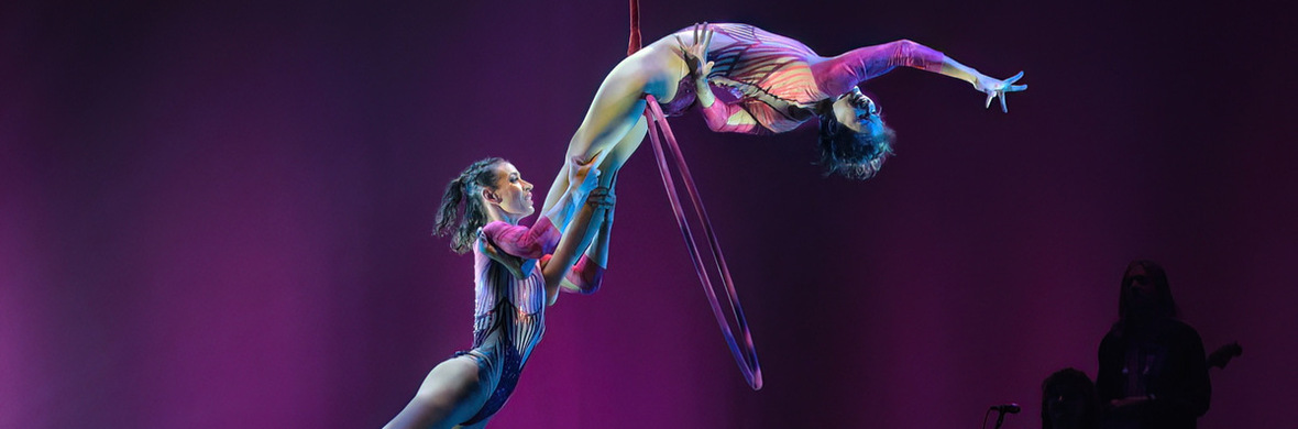 Duo Vespertilio - Performing Arts Acts - StageLync