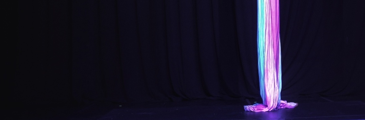 White Swan - Performing Arts Acts - StageLync