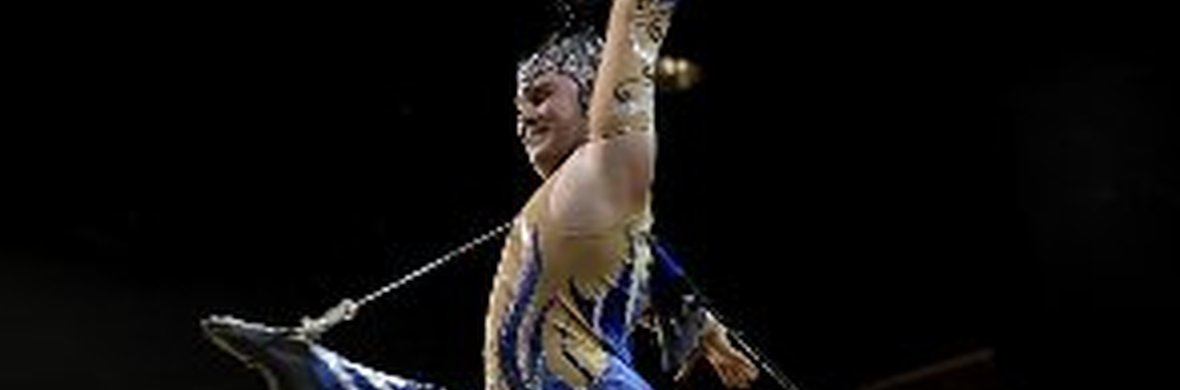 Hair Hang - Performing Arts Acts - StageLync