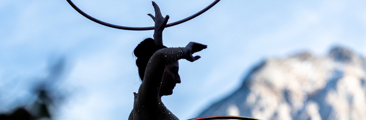 Aerial Hoop - Performing Arts Acts - StageLync