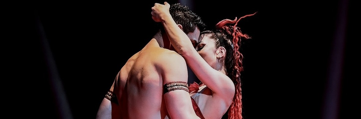 Duo Soma Perch Act Sensual Version - Performing Arts Acts - StageLync