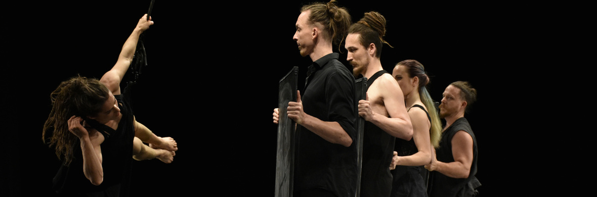 fightingGravity - Performing Arts Shows - StageLync