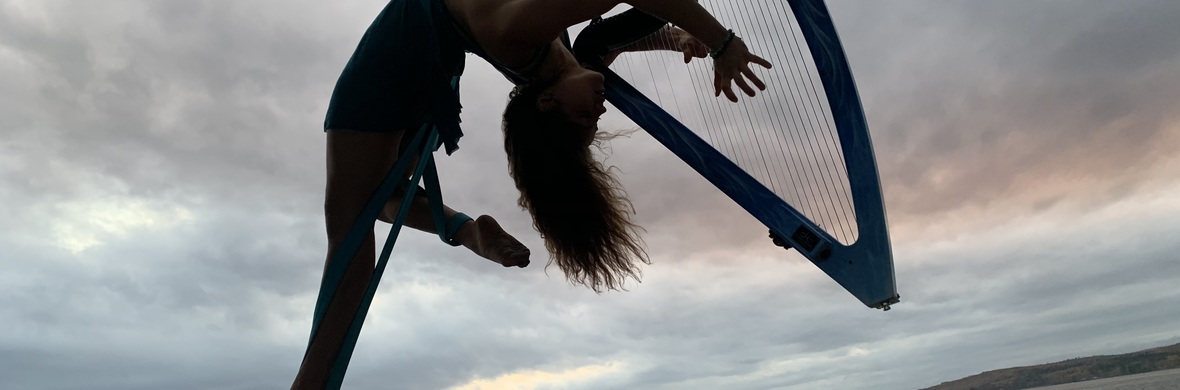 Lunarpa aerial harp act - Performing Arts Acts - StageLync