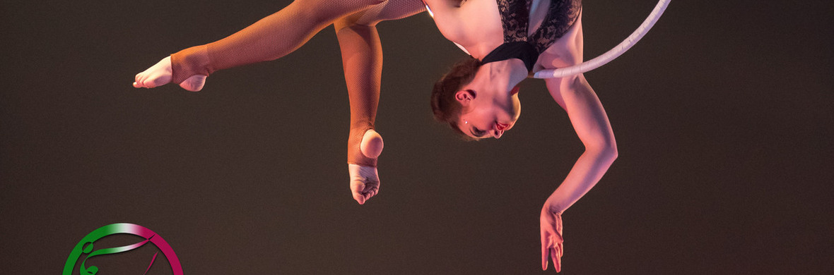Aerial Lyra - Performing Arts Acts - StageLync