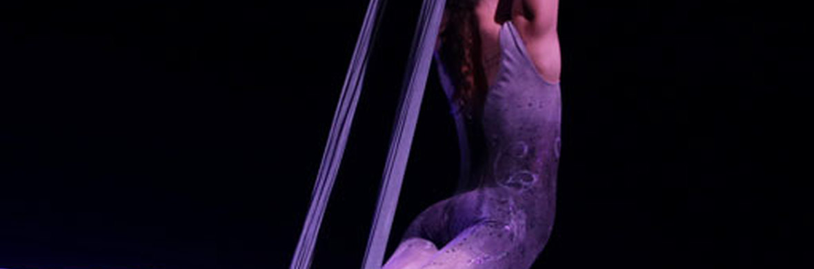Spring Into Dance 2019 - Performing Arts Acts - StageLync